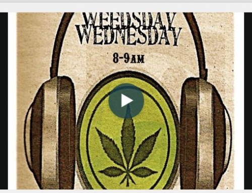 Weedsay Wednesday Radio