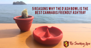 Image of the best cannabis friendly ashtray by the ocean