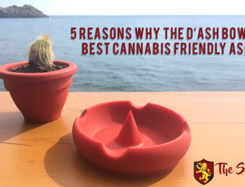 5 Reasons Why The D’ash Bowl Is The Best Cannabis Friendly Ashtray
